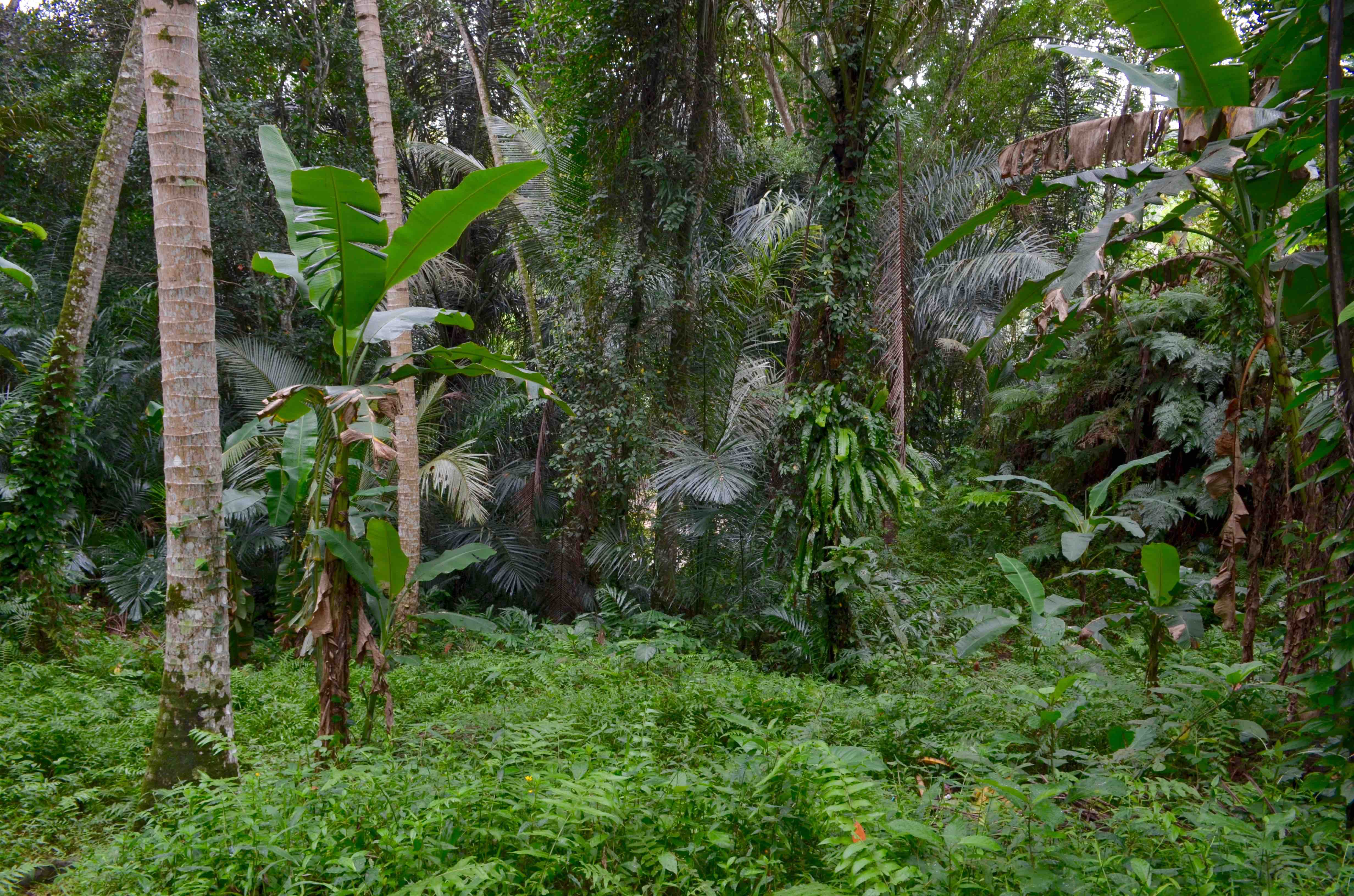 "Image description
              here"